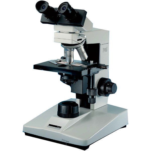 Hund Microscop H 600 BS, bino, 100x - 1000x