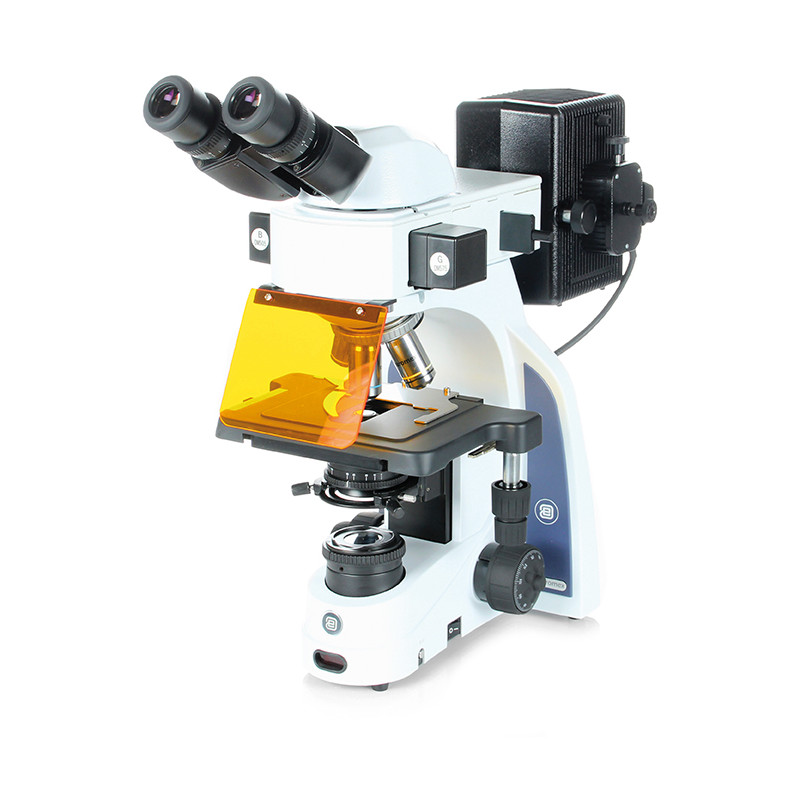 Euromex Microscop iScope,  IS.3152-PLFi/3, bino