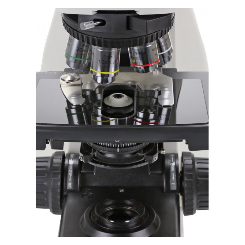 Euromex Microscop DX.1153-PLPHi, phase, trino, infinity, 40x - 1000x