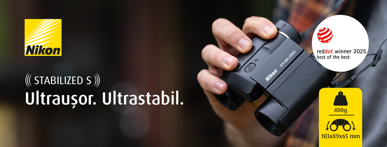 Nikon Stabilized S