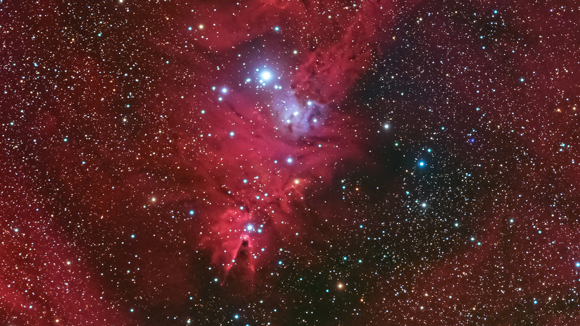 Roiul NGC 2264 (Bradul de Crăciun); imediat sub el, nebuloasa întunecată Conul. Tragoolchitr Jittasaiyapan