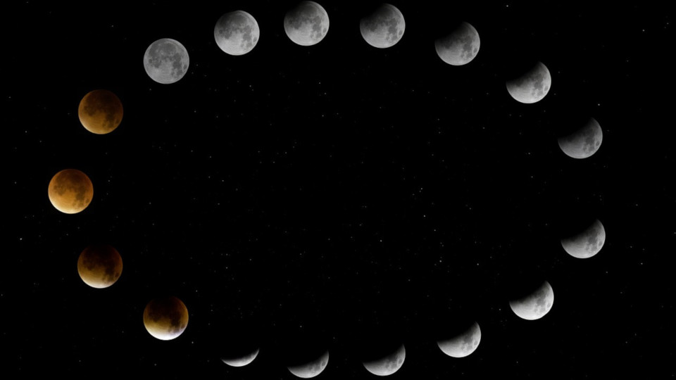 Blutmond Laufbahn