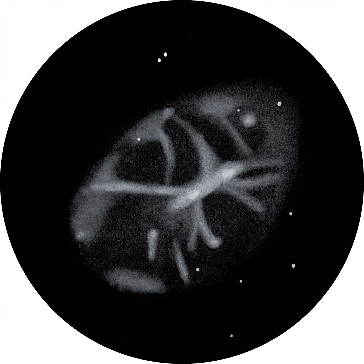 Desen al nebuloasei Messier 1 cu un telescop newtonian de 27“, putere de mărire de 366x și filtru [OIII]. Uwe Glahn