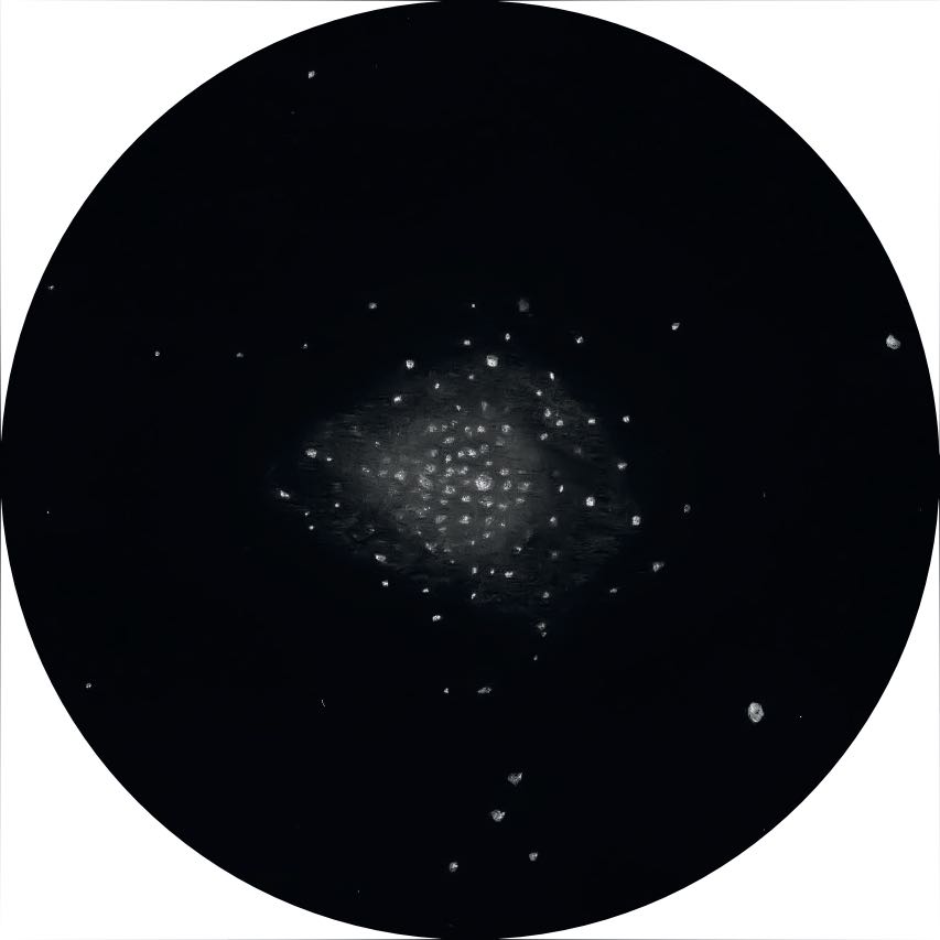 Desen al roiului stelar Messier 71 cu un Newton de 14 inch, putere de mărire 114×. Oliver Stein