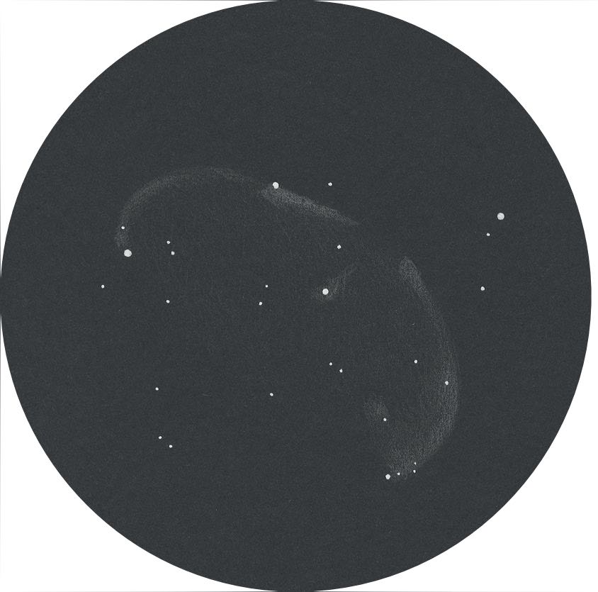 Desenul nebuloasei NGC 6888 pe un cer ușor luminat din mediul rural, folosind un Newton de 600 mm. Daniel Spitzer