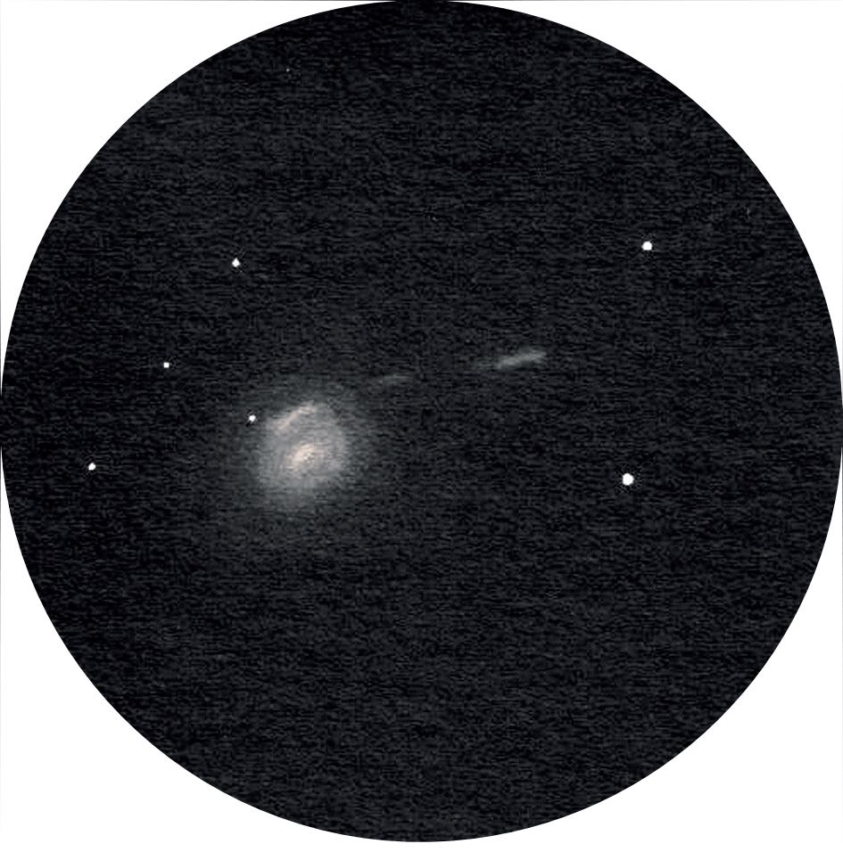 Desen al galaxiei NGC 772 și NGC 770 cu un telescop Newton de 20 inch la o putere de mărire de 434×. 
Uwe Glahn