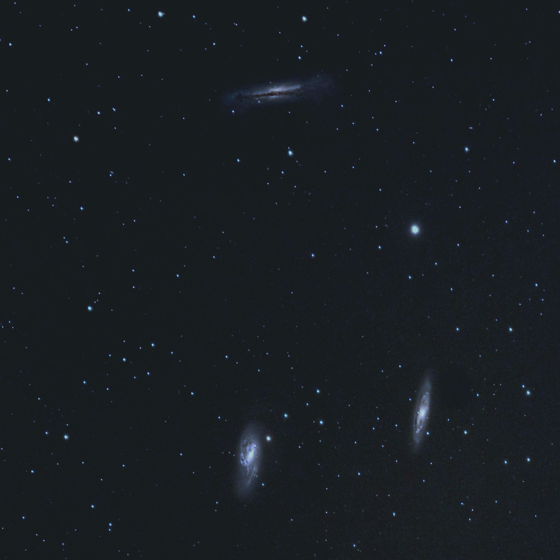Două atracții și o provocare: M 66 (stânga jos), M 65 și NGC 3628 (sus). H. Fischer