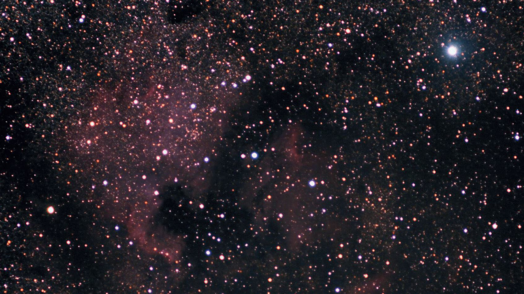 La sud-est de Deneb (steaua strălucitoare din dreapta sus) se află nebuloasa America de Nord NGC 7000, una dintre cele mai frumoase nebuloase de gaz. Mini-Orion poate fi văzut în stânga de centrul imaginii sau la est de Golful Mexic. Marcus Degenkolbe