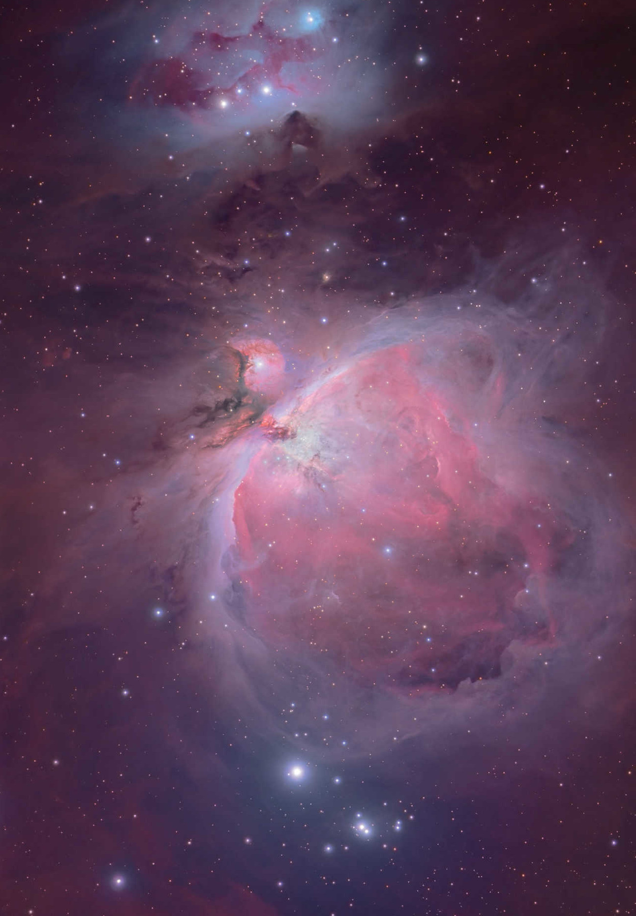 Lumile nebuloase fantastice din Nebuloasa Orion îi entuziasmează pe mulți astronomi amatori. Mario Weigand