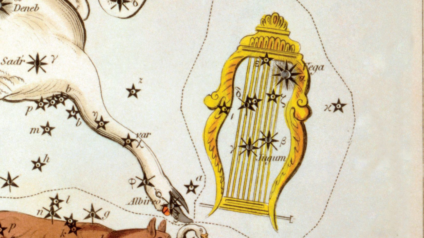 O veche reprezentare a constelației Lira cu steaua principală Vega, unul dintre colțurile Triunghiului de Vară. 
