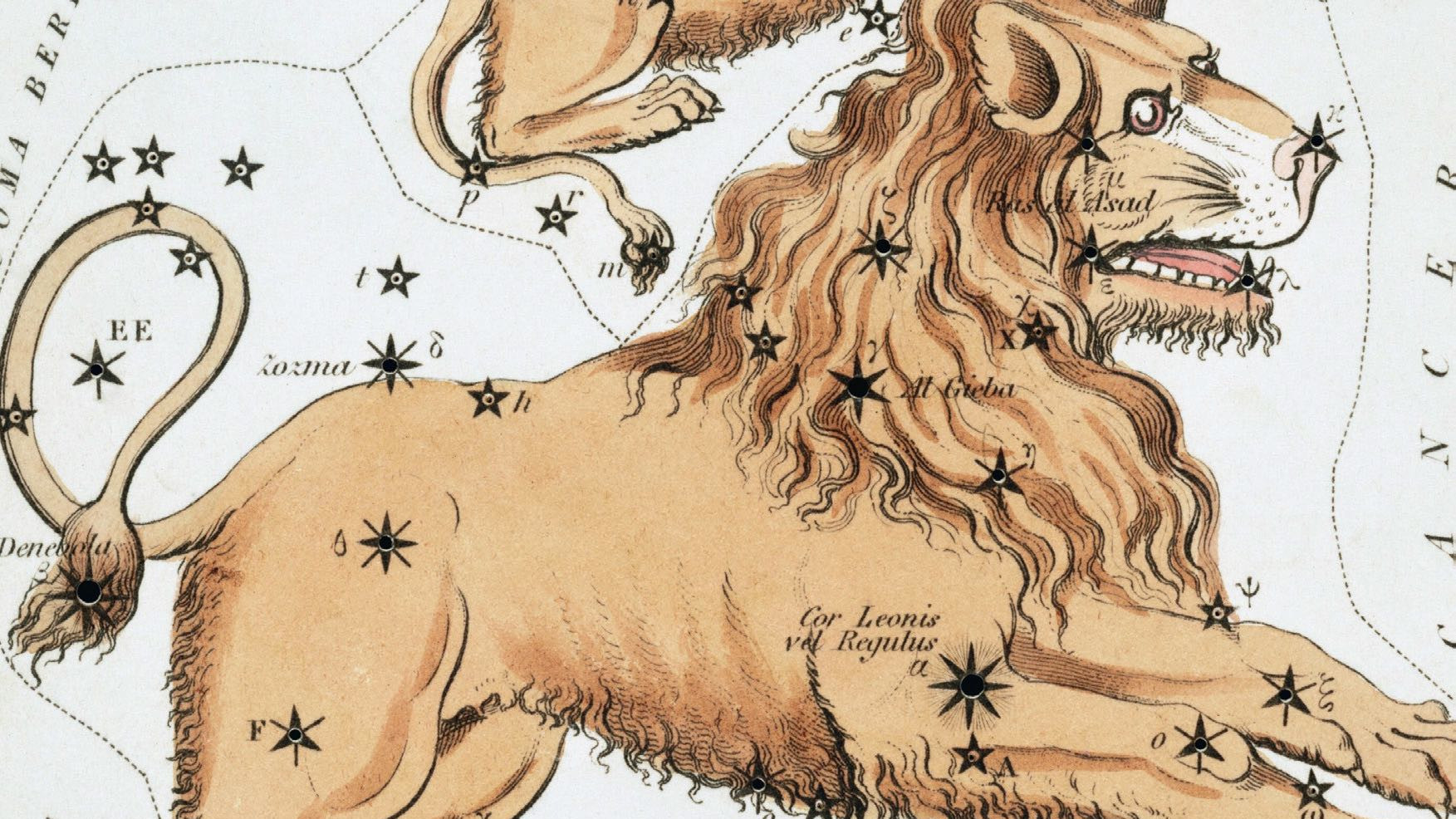 În timp ce observatorul modern recunoaște în această constelație mai degrabă forma unui fier de călcat, cu mii de ani în urmă, oamenii care priveau cerul și-au închipuit un leu care mănâncă, inima leului fiind marcată de steaua Regulus. 
