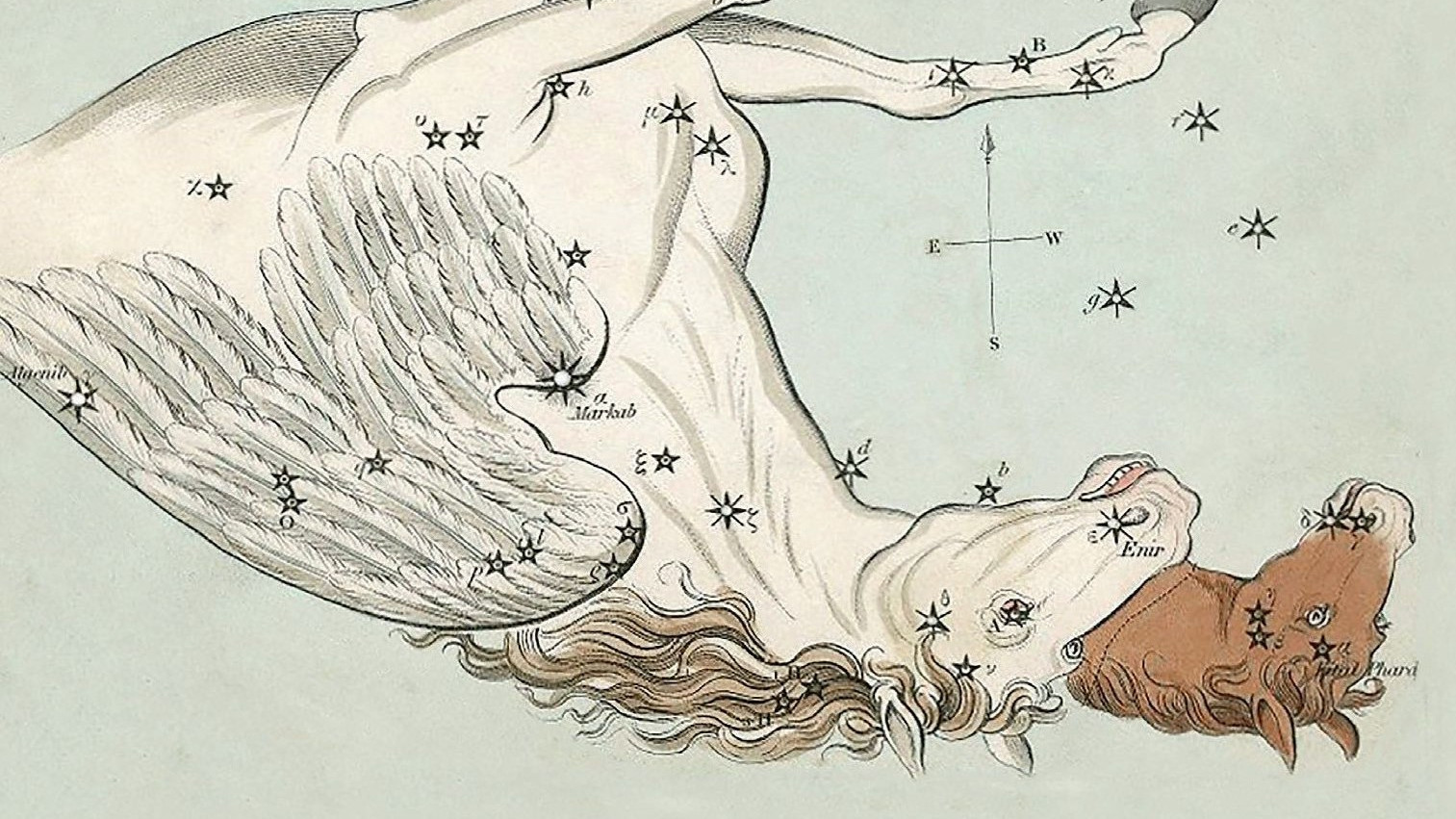 Reprezentările vechi arată calul înaripat căzând din cer cu capul înainte. Capul mic de cal din dreapta face parte din constelația Calul Mic (lat. Equuleus) și îl reprezintă pe mânzul Celeris, fiul sau fratele lui Pegas. 