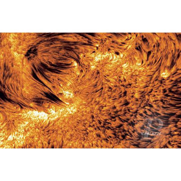 Palazzi Verlag Poster Active Sun