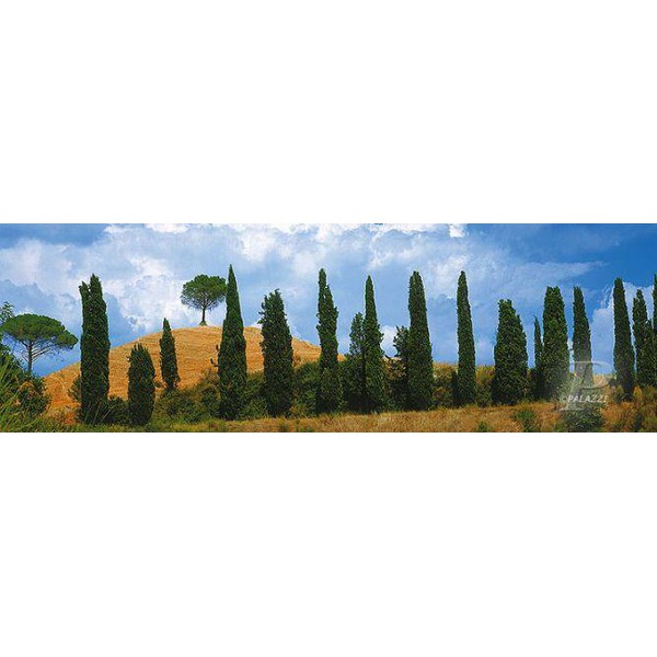 Palazzi Verlag Poster Tapet Val Dórica Tuscany