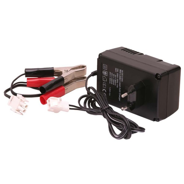 Euro EMC Incarcator automatic Ansmann