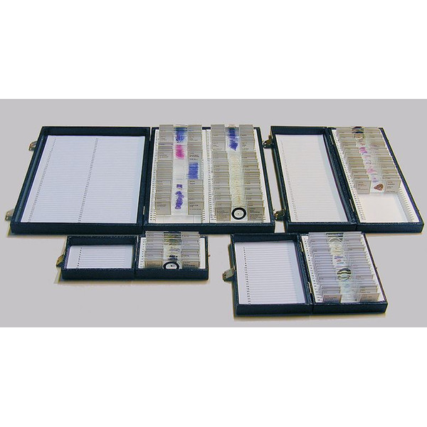 Windaus Cutie depozitare standard pentru 100 de preparate