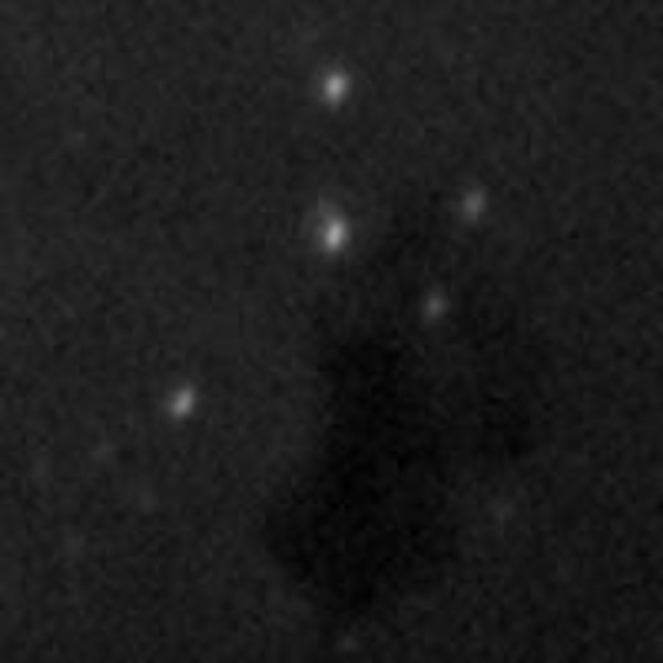 Orion Guider optic adaptor SteadyStar (format mare)