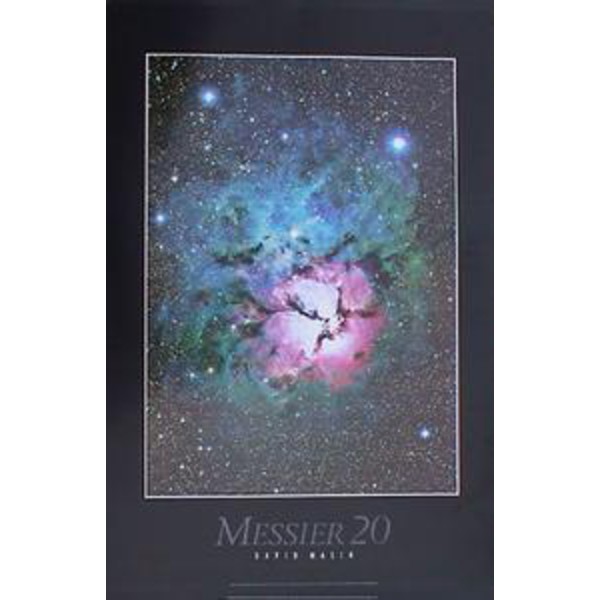 Poster Trifid-Nebula M 20 by David Malin