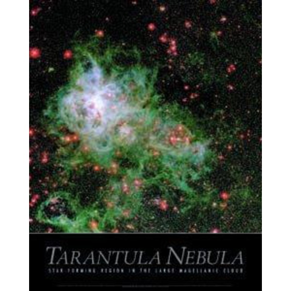 Poster NebuloasaTarantula