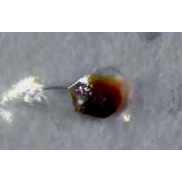 Hund Microscop stereo Wilovert, trinocular, F Zoom cu baza ST