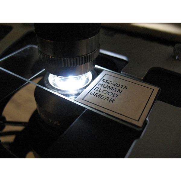 Optika Microscop trinocular, B-383DK, camp intunecat, X-LED