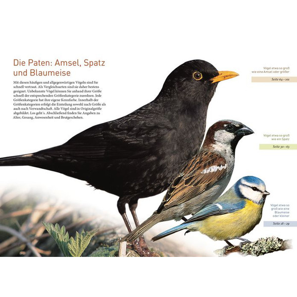 Kosmos Verlag Pasari de gradina (in germana)