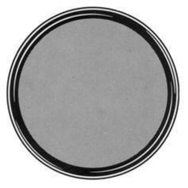TS Optics Filtru colorat gri 2'' 13% transmisie