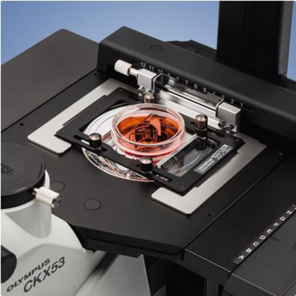 Evident Olympus Microscop inversat Olympus CKX53 Hellfeld V2, trino, infinity, plan, achro, 2x, 4x, 10x, LED