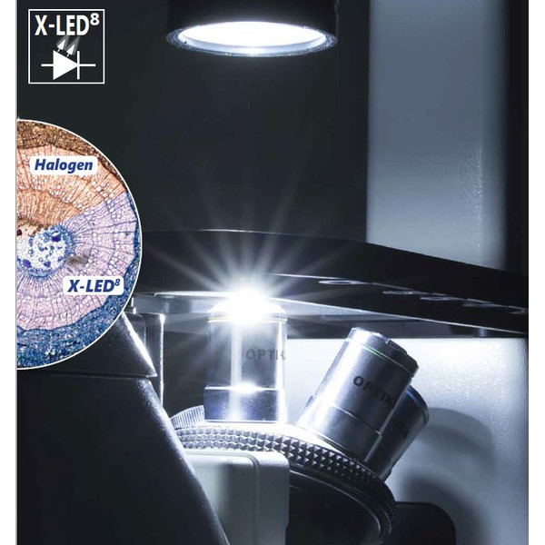 Optika Microscop IM-3FL4-UK, trino, inversat, FL-HBO, Filtru B&G, IOS LWD U-PLAN F, 100x-400x, UK