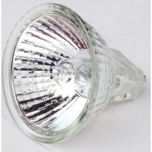 Motic Halogen pentru înlocuirea becului 12V / 10W pentru stativ R2GG (lumină reflectată) (SMZ-161)