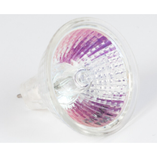 Motic Bec Halogen 12V / 20W, lumină transmisA, (stand R2GG) (SMZ-161)