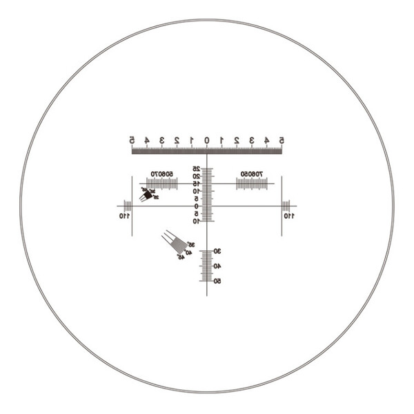 Motic Ocular cu micrometru WF10X/23mm, analizator proportii