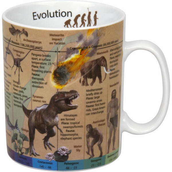 Könitz Cească Mugs of Knowledge Evolution (English)