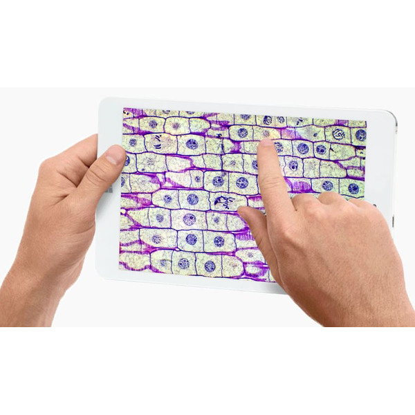 Euromex Camera EduPad , color, CMOS, 1/2.3", 1.33 µm, 12 MP, USB 2.0, Tablet de 8 inch