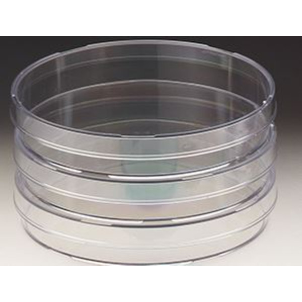 Windaus Vase Petri 94x16mm, polistiren 20 buc.
