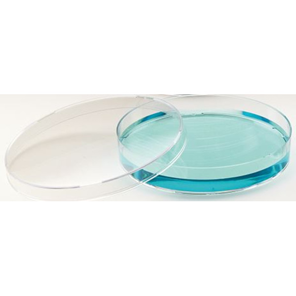 Windaus Vase Petri 94x16mm, polistiren 20 buc.