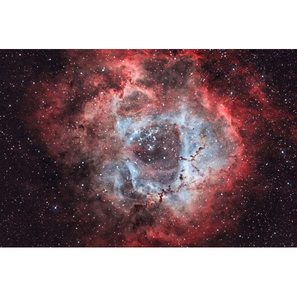 OPT Filtre Filtru de bandă îngustă Triad Ultra Quad-Band 2"
