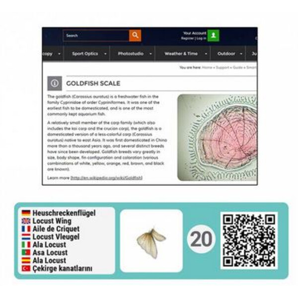 Bresser Junior Microscoape inteligente cu coduri QR