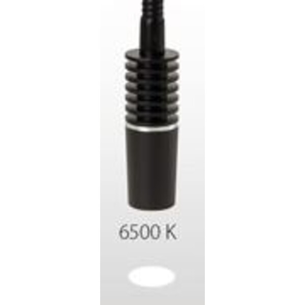 Euromex Stație de iluminat LE.5260, Conductor lumina alb, 6500K f. NZ.9018, LE5207, LE.5212
