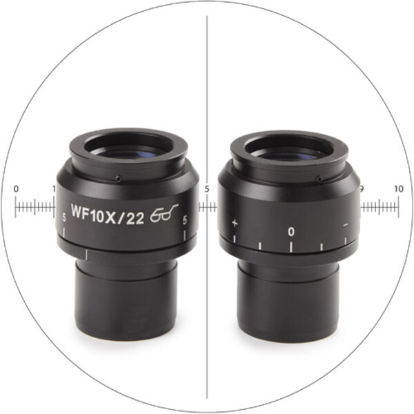 Euromex Ocular de măsurare NZ.6210-CM, 10x/22 mm SWF, micrometru, reticul, (Nexius EVO)