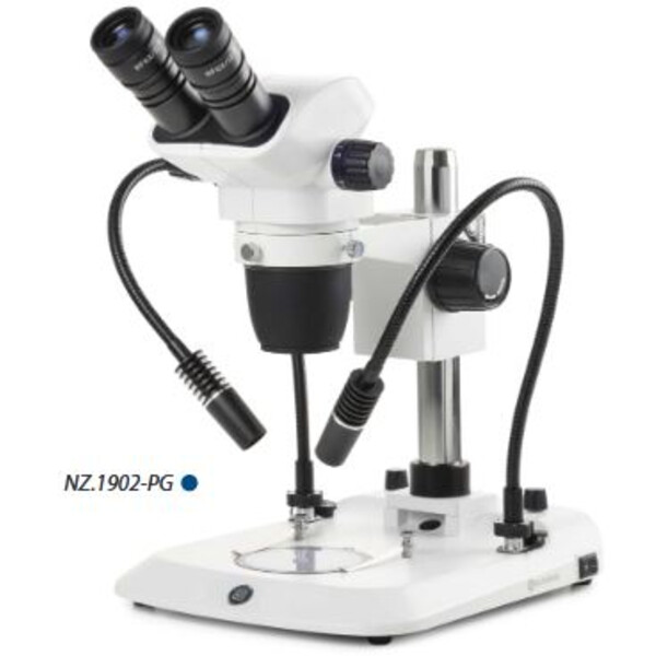 Euromex microscopul stereoscopic zoom NZ.1902-PG, 6.7-45x, Säule, 2 Schwanenhälse, Durchlicht, bino