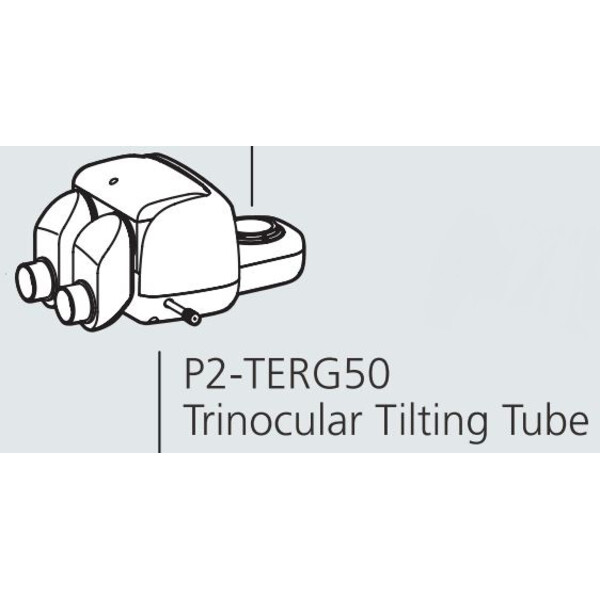 Nikon Cap stereo P2-TERG 50 trino ergo tube (100/0 : 50/50), 0-30°