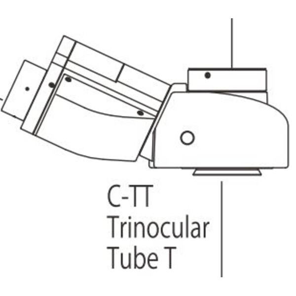 Nikon C-TT Tub trinocular T