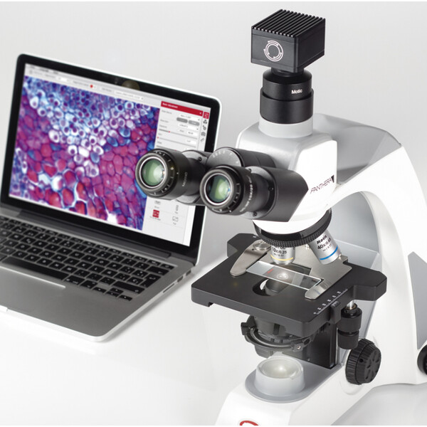 Motic Microscop Panthera E2, Trinocular, HF, INFINITY, plan achro., 40x-1000x, fix Koehl.LED