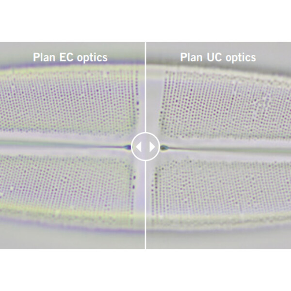 Motic Microscop Panthera E2, Trinocular, HF, INFINITY, plan achro., 40x-1000x, fix Koehl.LED