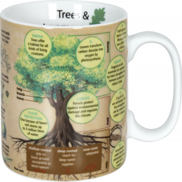 Könitz Cească Mugs of Knowledge Trees