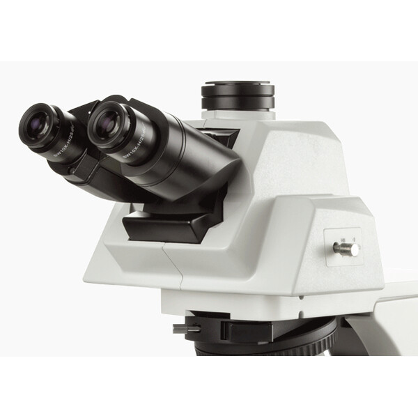 Euromex Microscop Delphi-X, DX.2158-APLi, trino, 40x - 1000x, Plan semi-apochromat., mit ergonom. Kopf u.100W Halogen-Beleuchtung