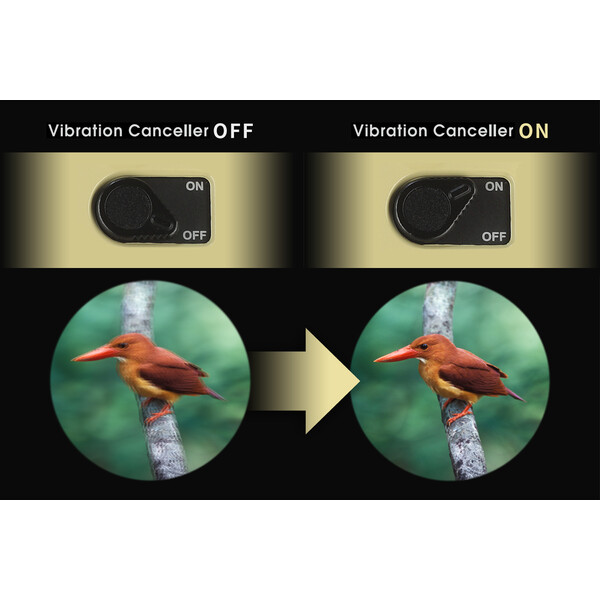 Vixen Binocluri cu stabilizator de imagine H12x30 Atera