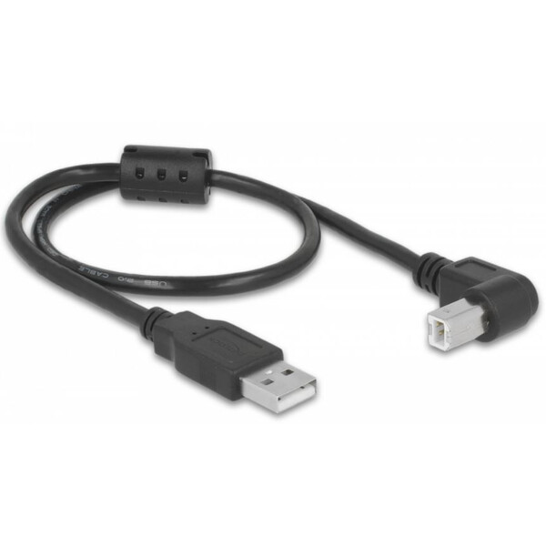PegasusAstro Set cablu USB 2x USB2.0 Type-B 50cm