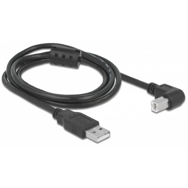 PegasusAstro Set cablu USB 2x USB2.0 Type-B 1m